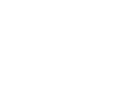 MEGA Medical Transportation LLC